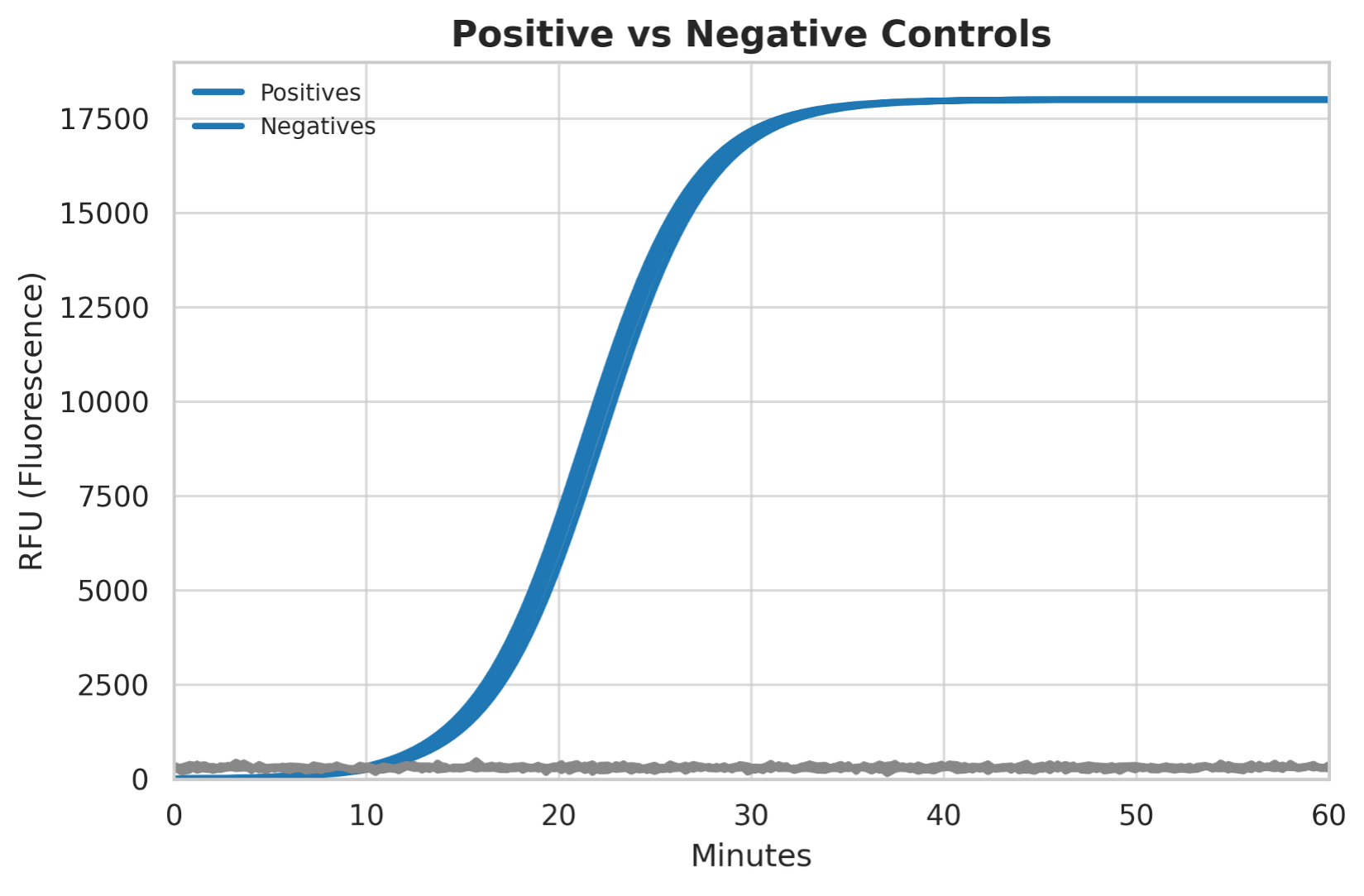 Controls verification